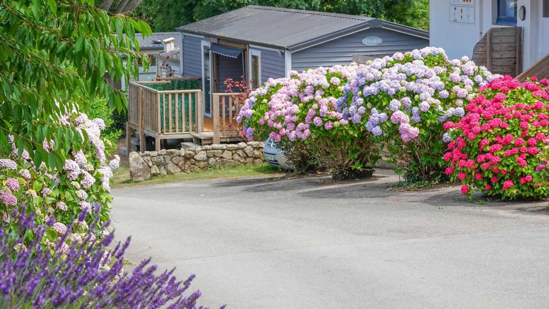 Camping Le Dolmen, Carnac, Morbihan Ngoại thất bức ảnh